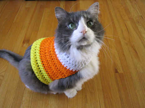crochet candy corn kitten