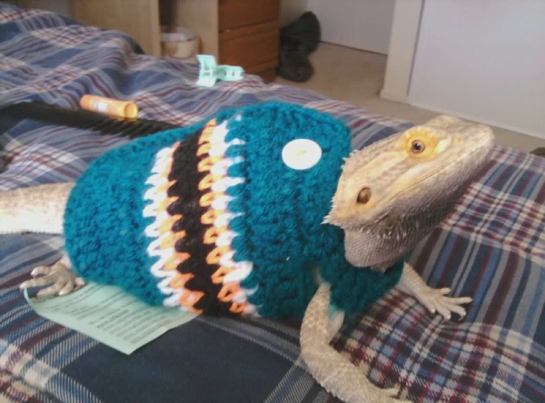crochet lizard sweater