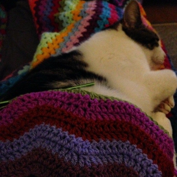 theorsetfinca crochet ripple blanket with cat