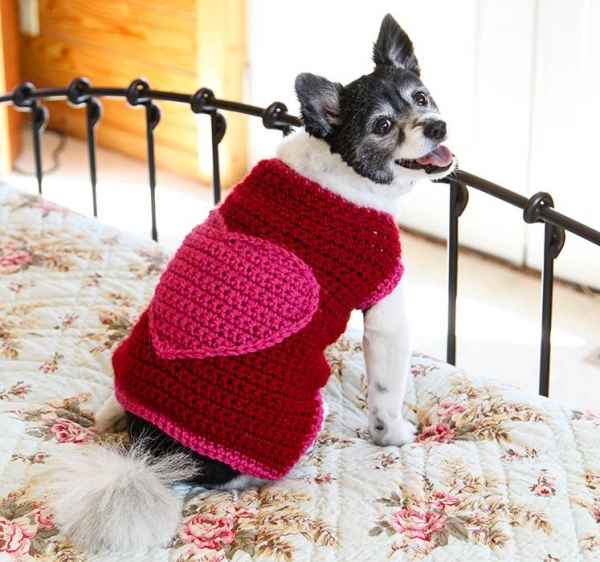 crochet dog heart sweater kit