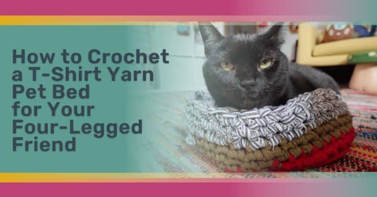 How to Crochet a T shirt Yarn Pet Bed for Your Four Legged Friend.