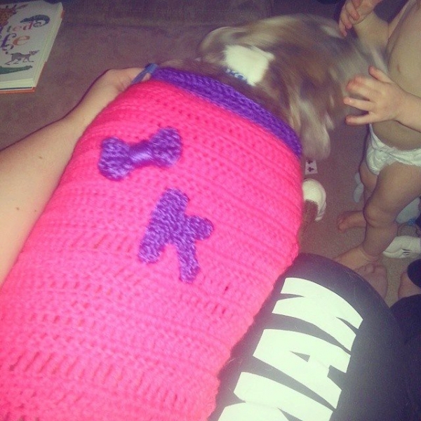 shelbystrange12 instagram crochet puppy sweater