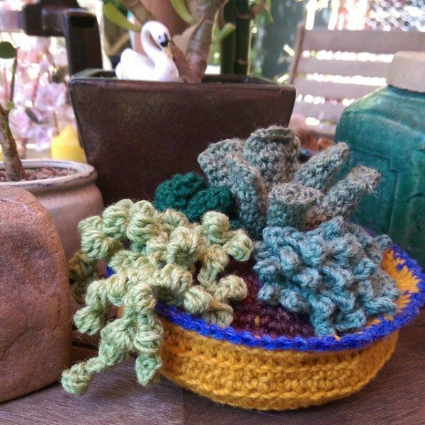 oakherder crochet succulents