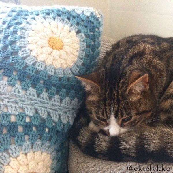 ektelykke crochet cushion cat