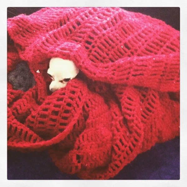 crochet puppy blanket