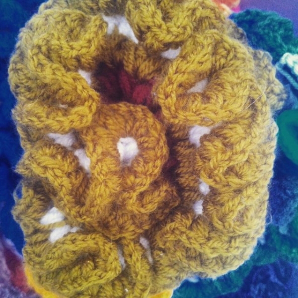 hyperbolic crochet art