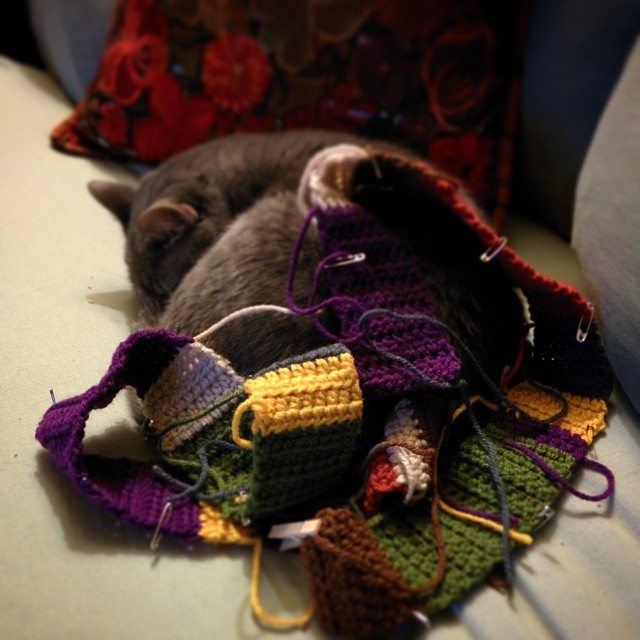 madwhimsy kitty crochet