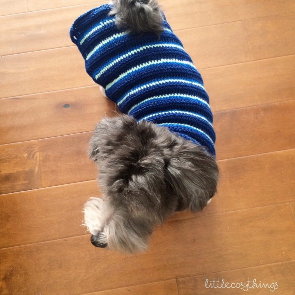 crochet pet sweater