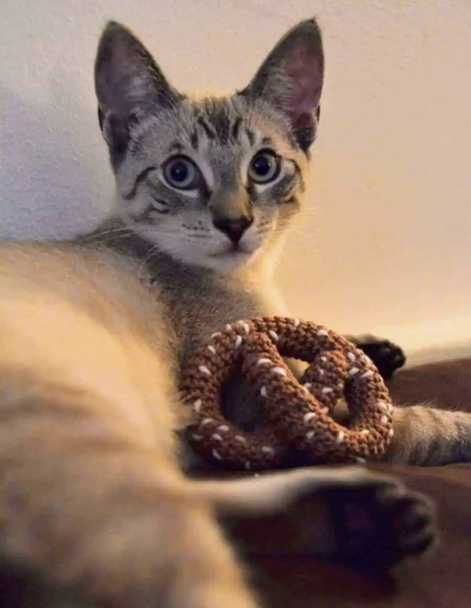 15 Free Animal Crochet Patterns for Your Lovely Pets 7 Salty Pretzel Toy Crochet Pattern by Janelle C