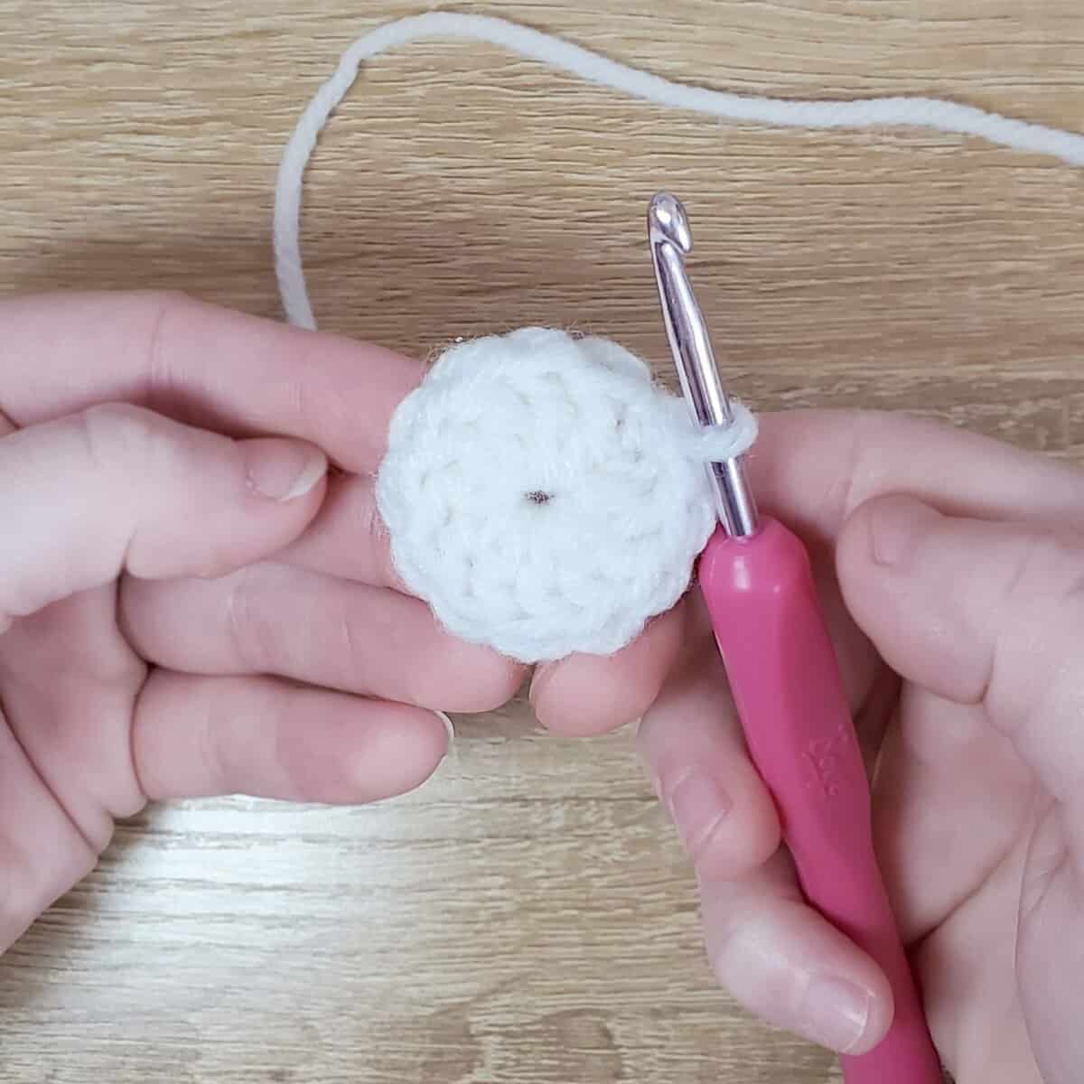 Magic Loop with 12 double crochet stitches