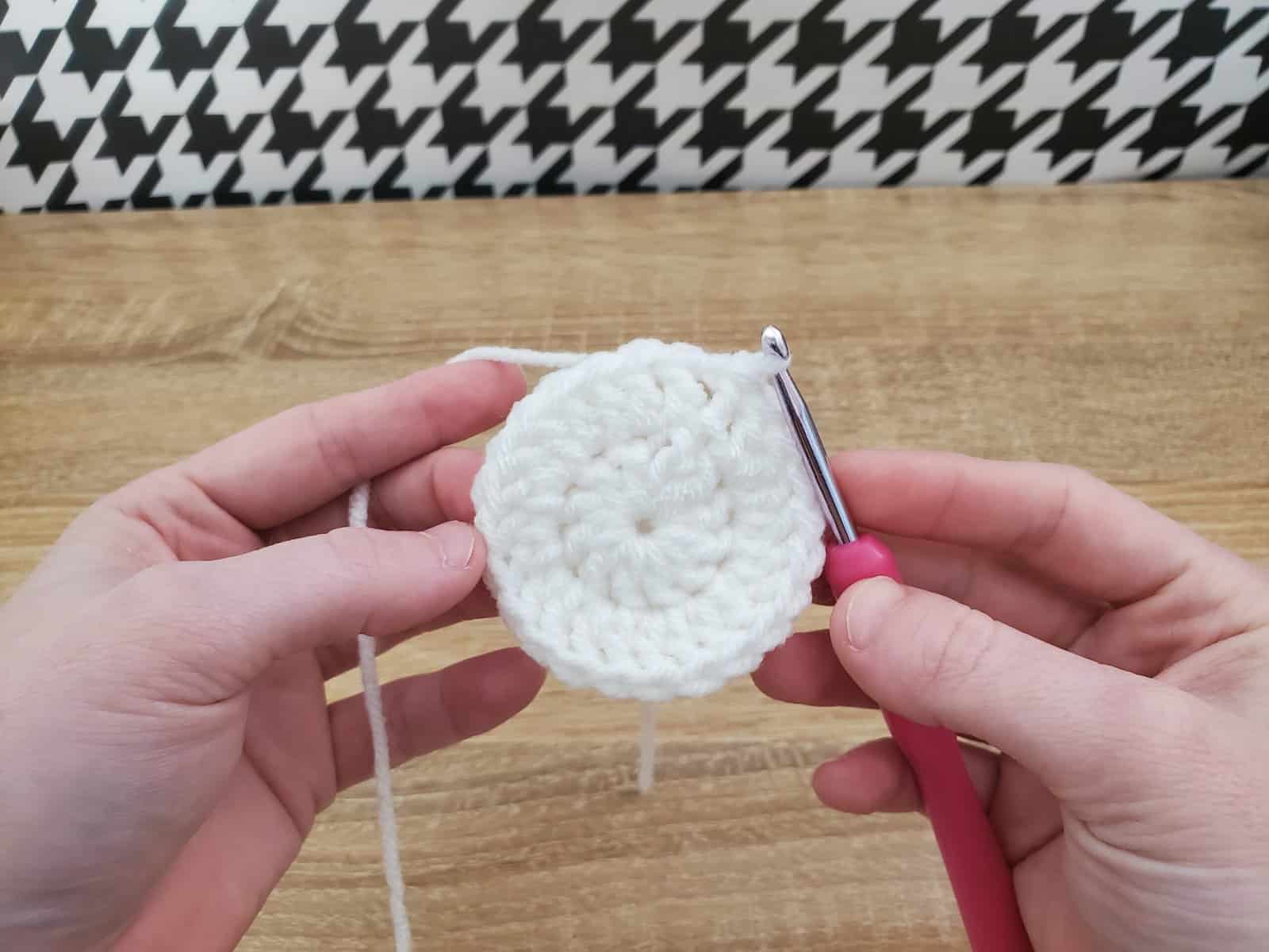 Crochet Fruit Potholders (R2 - step 3)