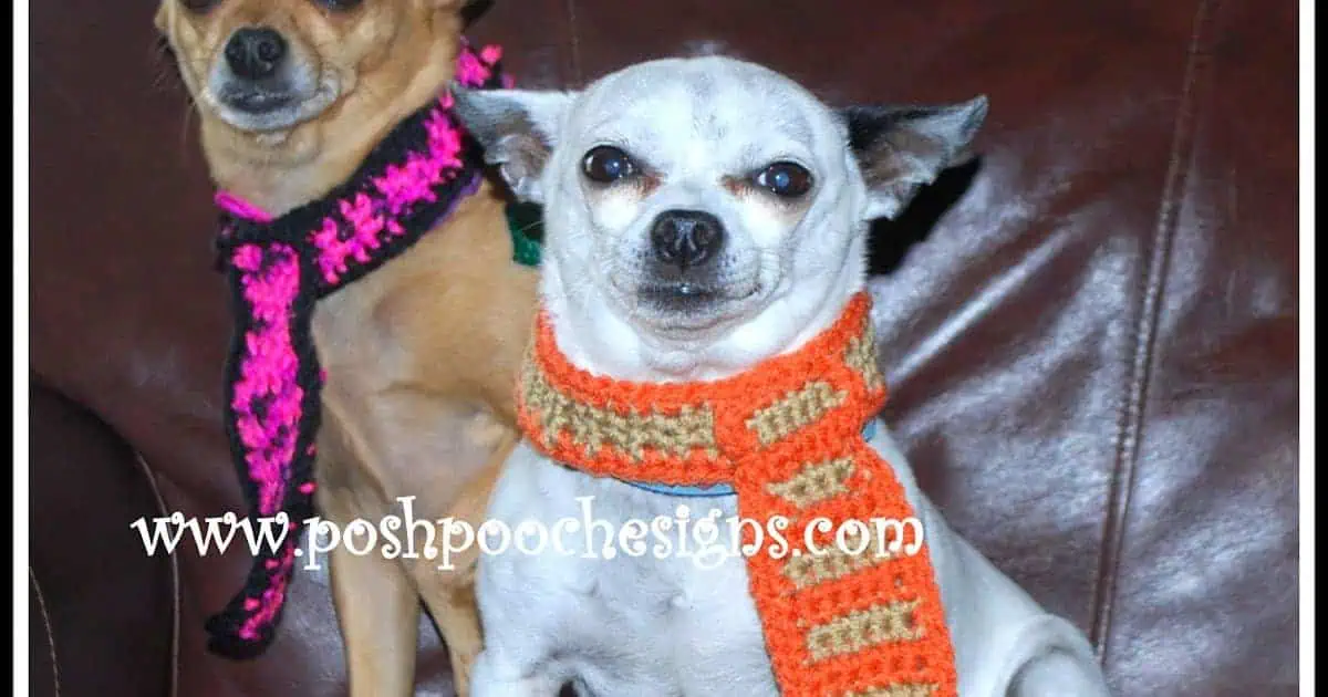 15 Free Animal Crochet Patterns for Your Lovely Pets 8 Dog Collar FREE Crochet Pattern from Posh Pooch