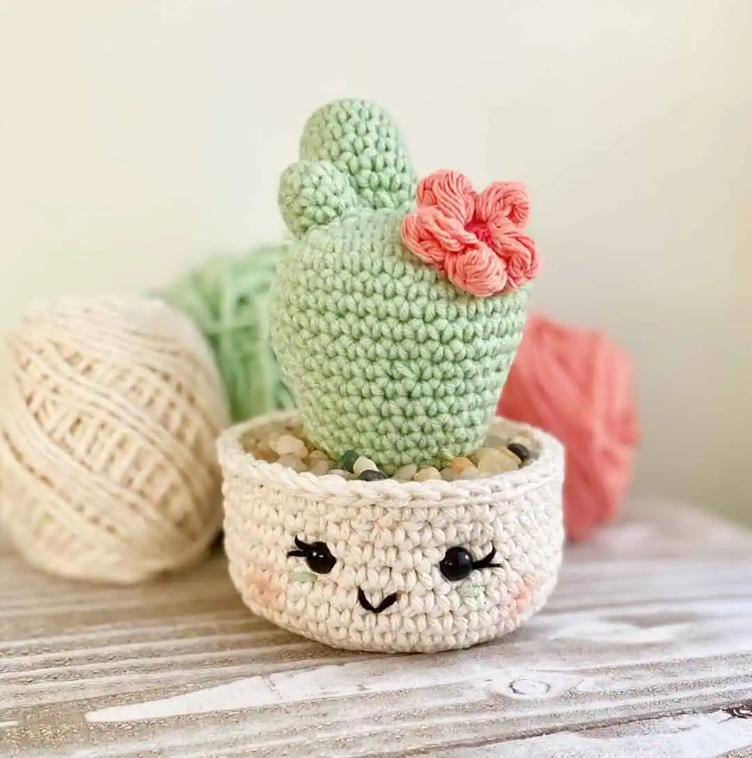 23 Free and Paid Crochet Cactus Patterns You’ll Want To Try 2 Desert Blossom Cactus