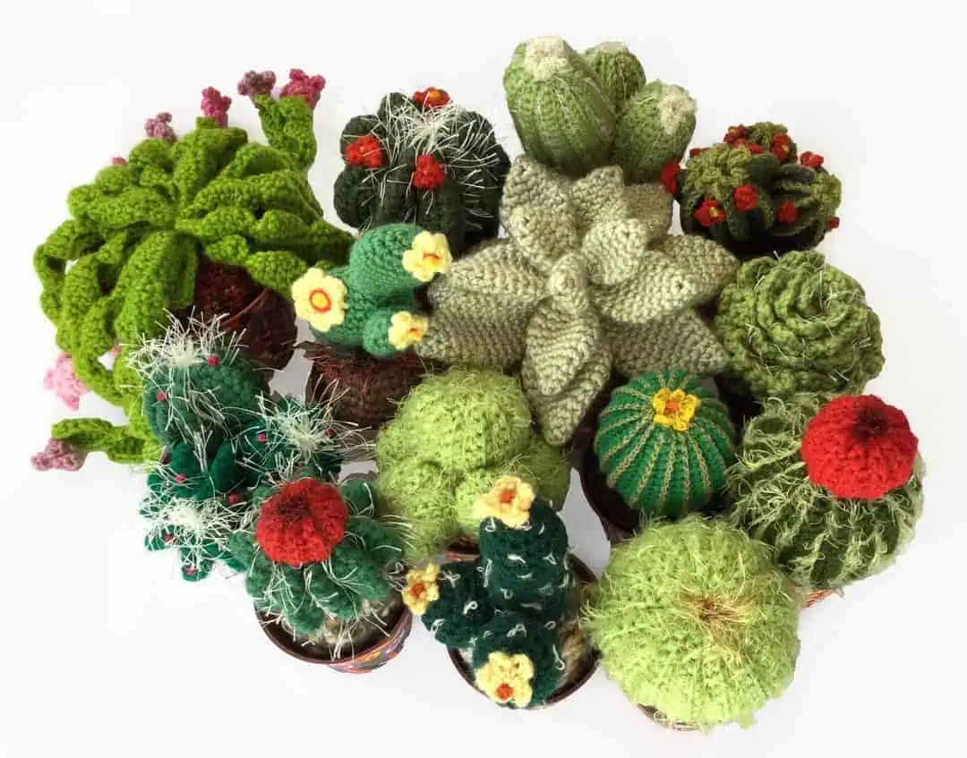23 Free and Paid Crochet Cactus Patterns You’ll Want To Try 5 Crochet Cactus Garden