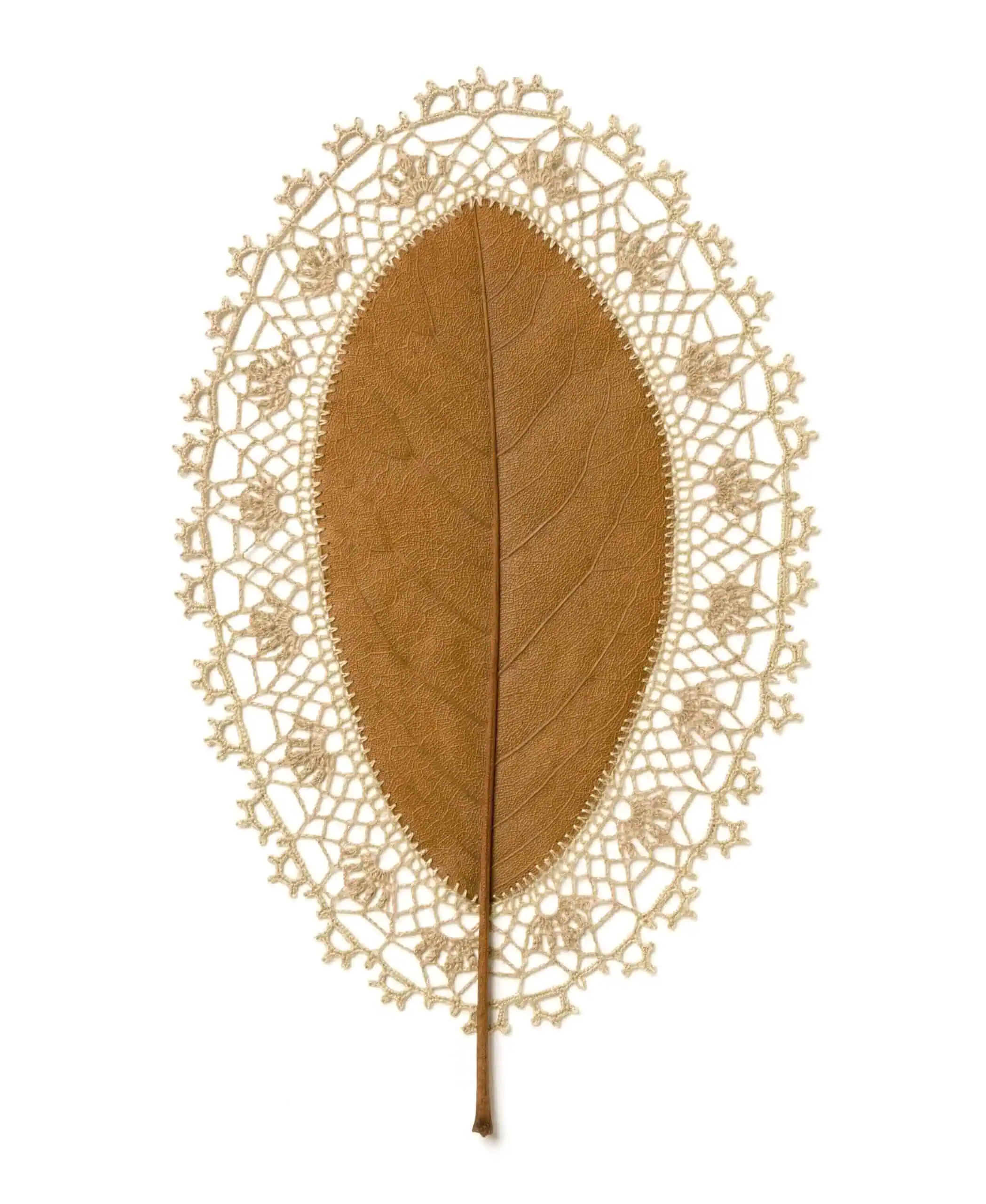 Nature-Inspired Crochet Art by Susanna Bauer 2 Hope