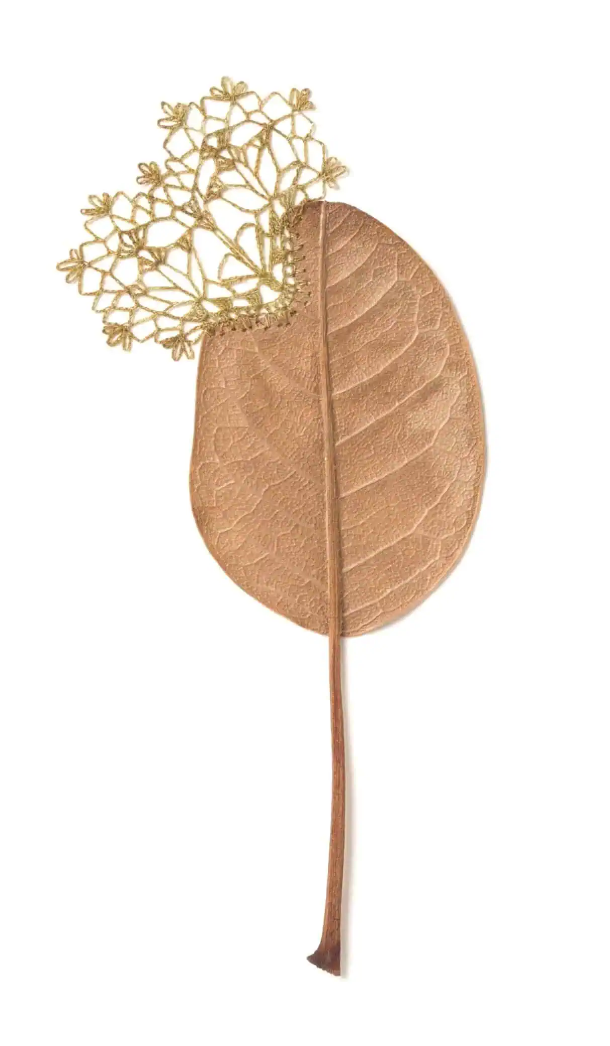 Nature-Inspired Crochet Art by Susanna Bauer 5 Thrive