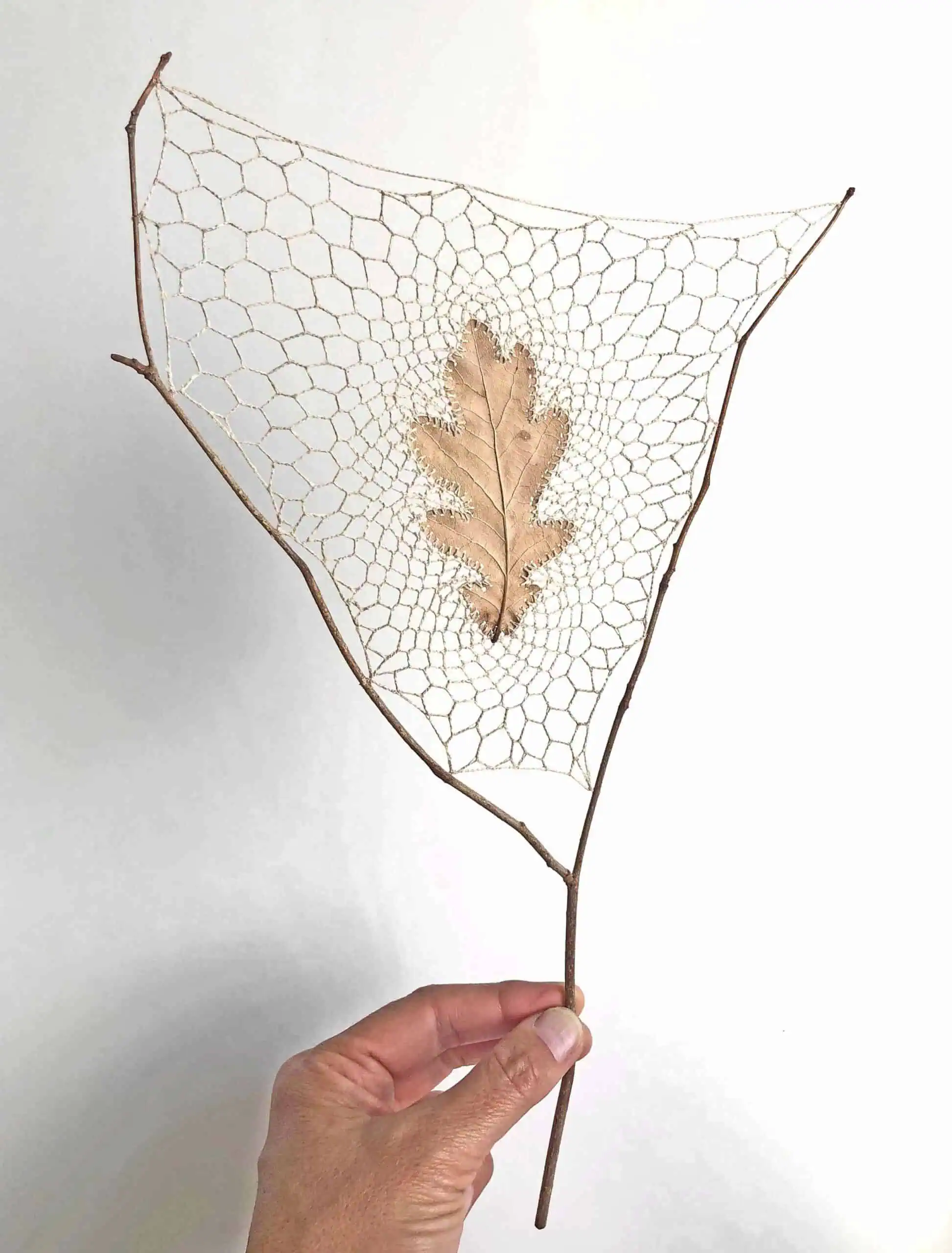 Nature-Inspired Crochet Art by Susanna Bauer 7 repose