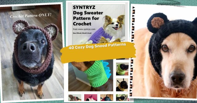 40 Dog Snood Crochet Patterns: Fun & Cozy Creations for Your Pup