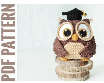 Amigurumi Crochet Owl Pattern: Teacher's Gift