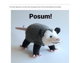 English Opossum Crochet PDF Pattern