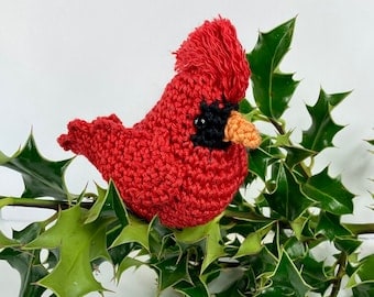 Cardinal Crochet Pattern with Detailed Instructions