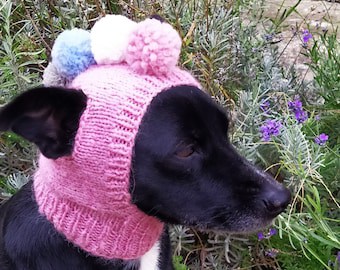 Knitted Dog Hat Pattern with Pompoms