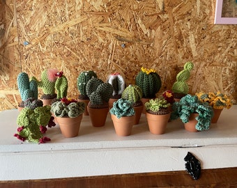 Mini Crochet Cacti Pattern Set