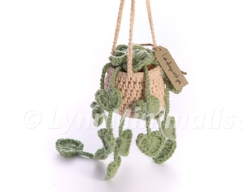 Custom Crochet Satin Pothos Plant Gift