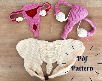 Crochet Pattern for Educational Female Anatomy Models