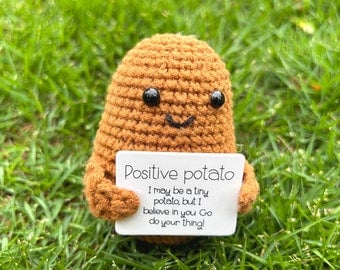 Handmade Positive Potato Crochet Succulent Pot