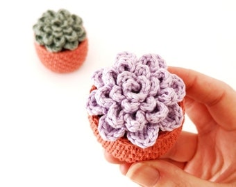 No-Sew Crochet Succulent Amigurumi Pattern Gift"