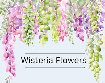 Watercolor Wisteria Flower Clipart for Weddings