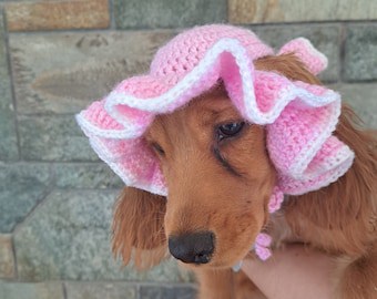 Crochet Dog Beanie Pattern: DIY Canine Accessory