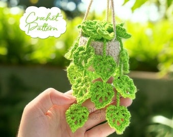 Crochet Hanging Plant Pattern for Cars