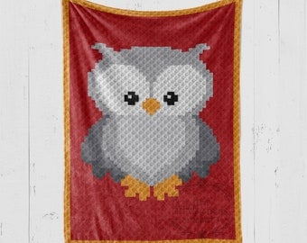 Owl Crochet Pattern: Woodland Baby Blanket C2C