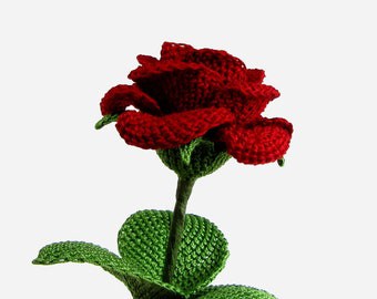 Experienced-Level Tunisian Crochet Rose Pattern PDF
