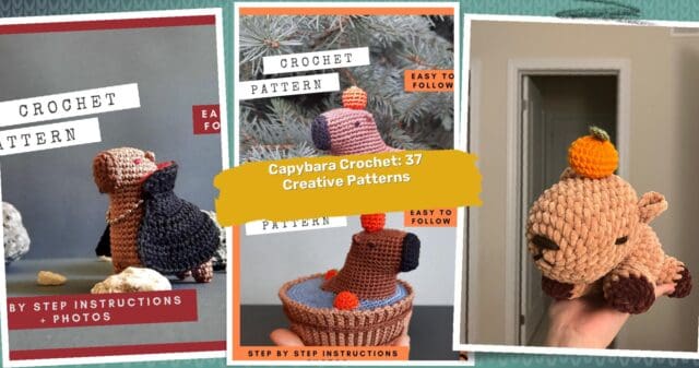 37 Capybara Crochet Patterns: Unique and Fun Projects to Ignite Your Creativity