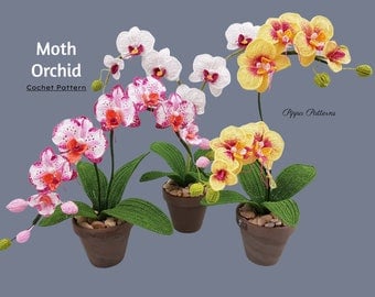 Crocheted Moth Orchid & Flower Pattern for Decor