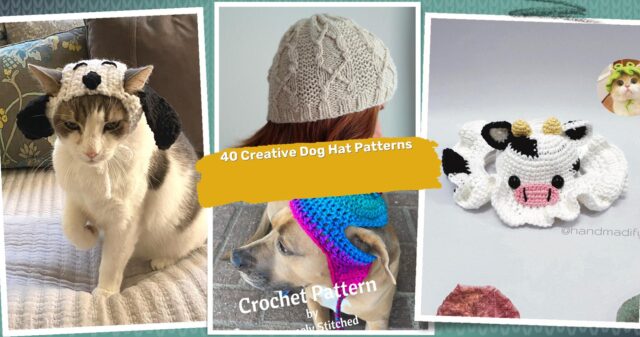 40 Dog Hat Crochet Patterns: Unleash Your Creativity for Your Furry Friend!