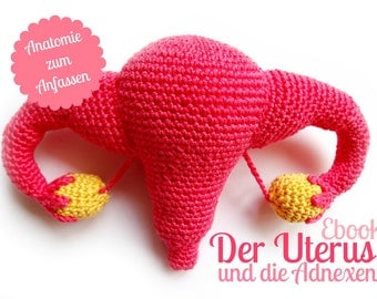Crochet Pattern for Uterus and Adnexa Design