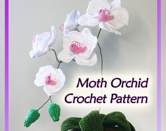 Crochet Your Own Moth Orchid Pattern