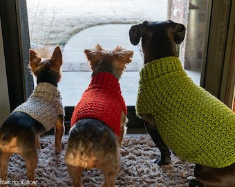 Crochet Pattern for Stylish Dog Sweater