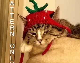 Beginner Crochet Pattern: Strawberry Pet Hat