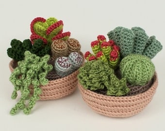 Realistic Potted Succulent Crochet Patterns Collection