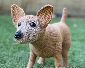 Daisy Chihuahua Crochet Pattern Exclusive