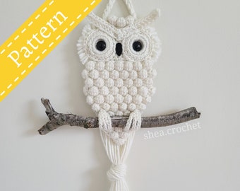 Crochet Your Own Owl Wall Hanging Pattern