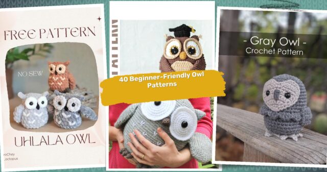 40 Owl Crochet Patterns: Easy and Adorable Projects for Beginners