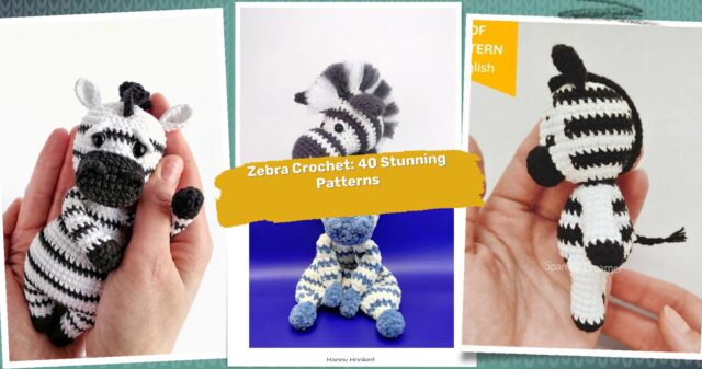 40 Zebra Crochet Patterns: Create Stunning Items with These Easy Steps