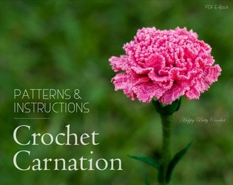 January Birth Month Crochet Carnation Pattern