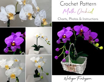 3D Moth Orchid Crochet Home Decor Pattern